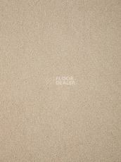 Ковролин Haima Noble 69 фото 1 | FLOORDEALER