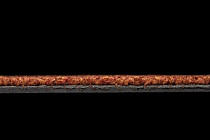 Standard Carpets Spectrum sm 526 фото 4 | FLOORDEALER