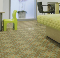 Flotex Vision Shape 810001 (Orbit) Spring фото 2 | FLOORDEALER