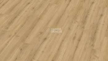 Ламинат My Floor Cottage широкая 8мм Дуб Дуэро MV899 фото 1 | FLOORDEALER