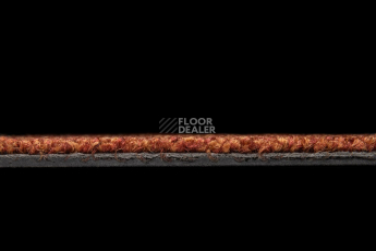 Standard Carpets Spectrum sm 526 фото 4 | FLOORDEALER