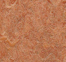 Линолеум Grabo Diamond Standart Forte 4213-453 фото 1 | FLOORDEALER