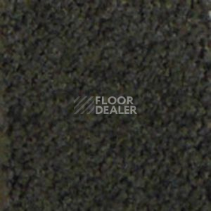 Ковролин Infloor Chiffon 770 фото 1 | FLOORDEALER