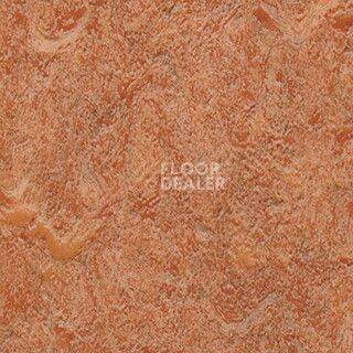 Линолеум Grabo Diamond Standart Forte 4213-453 фото 1 | FLOORDEALER