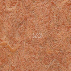 Линолеум Grabo Diamond Standart Forte 4213-453 фото 1 | FLOORDEALER