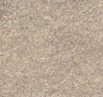 Ковролин AW Surprise 33 фото 1 | FLOORDEALER