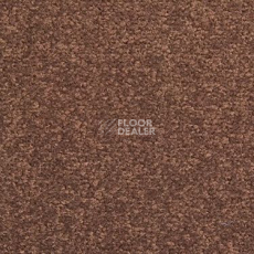 Ковровая плитка Modulyss Cambridge 822 фото 1 | FLOORDEALER