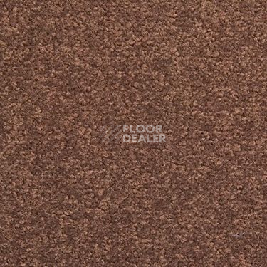 Ковровая плитка Modulyss Cambridge 822 фото 1 | FLOORDEALER