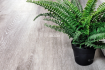 Alpine Floor Classic Light 3.5мм Ясень Серый ЕСО134-55 фото 3 | FLOORDEALER