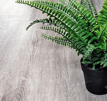 Alpine Floor Classic Light 3.5мм Ясень Серый ЕСО134-55 фото 3 | FLOORDEALER