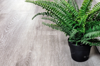 Alpine Floor Classic Light 3.5мм Ясень Серый ЕСО134-55 фото 3 | FLOORDEALER