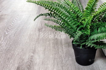 Alpine Floor Classic Light 3.5мм Ясень Серый ЕСО134-55 фото 3 | FLOORDEALER