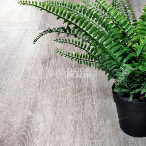 Alpine Floor Classic Light 3.5мм Ясень Серый ЕСО134-55 фото 3 | FLOORDEALER