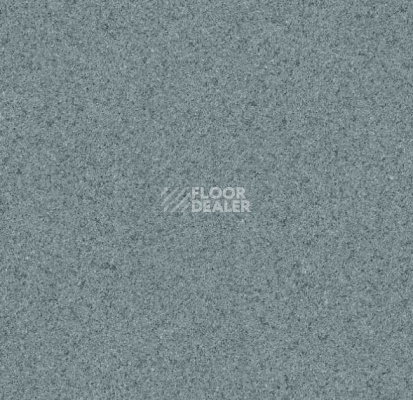 Линолеум Grabo Terrana Top Extra 4564-296 фото 1 | FLOORDEALER