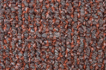 Desso AirMaster Reflection ac 58 2082 фото 3 | FLOORDEALER