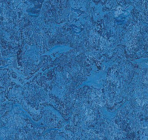 Линолеум Forbo Marmoleum Sport 83210 фото 1 | FLOORDEALER