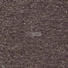 Ковролин AW Adoration 40 фото 1 | FLOORDEALER