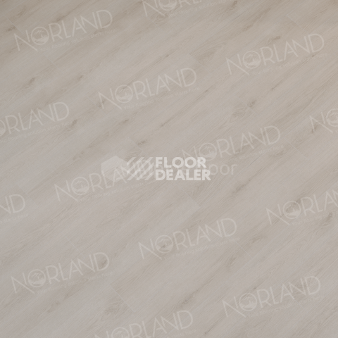 Norland Sigrid Superior 8мм Baldr 1008-4 ABA фото 3 | FLOORDEALER