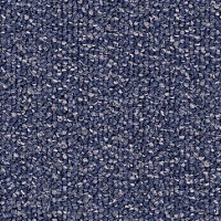 Ковровая плитка Desso Pinto 8803 фото 1 | FLOORDEALER