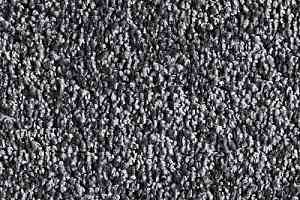 Ковролин Ideal Riga 158 фото  | FLOORDEALER