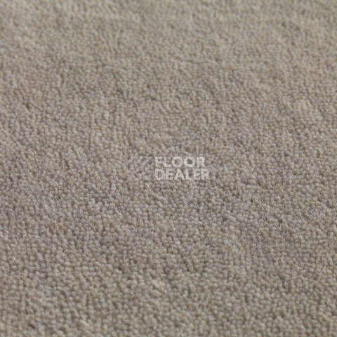 Ковролин Jacaranda Carpets Jaspur Titanium фото 1 | FLOORDEALER