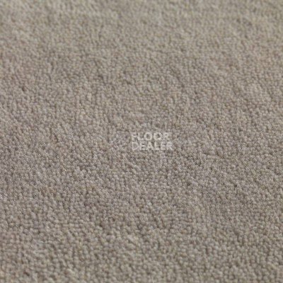 Ковролин Jacaranda Carpets Jaspur Titanium фото 1 | FLOORDEALER