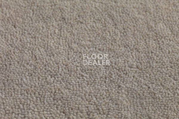 Ковролин Jacaranda Carpets Jaspur Titanium фото 1 | FLOORDEALER