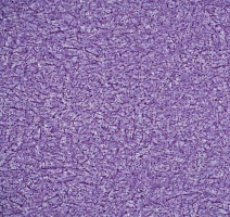 Линолеум Novoflor Extra Ideal 2800-14 фото 1 | FLOORDEALER