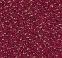 Ковровая плитка Balsan Zenith 560 фото 1 | FLOORDEALER