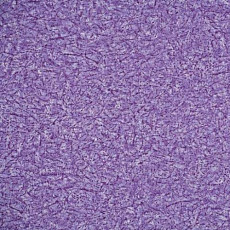 Линолеум Novoflor Extra Ideal 2800-14 фото 1 | FLOORDEALER