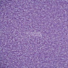 Линолеум Novoflor Extra Ideal 2800-14 фото 1 | FLOORDEALER