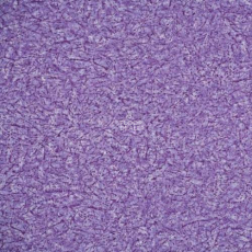 Novoflor Extra Ideal 2800-14 фото 1 | FLOORDEALER