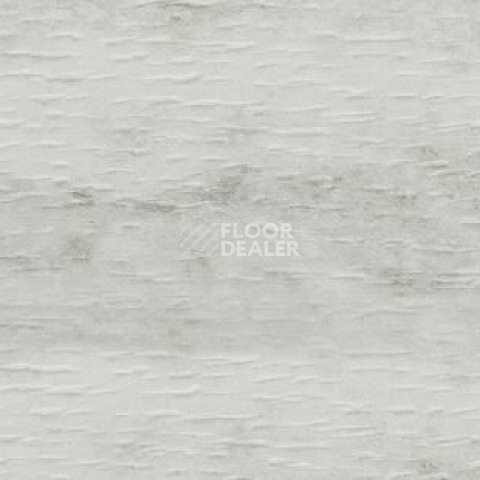 Плинтус Dollken EP 60/13 2719 фото 2 | FLOORDEALER