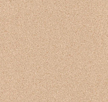 Линолеум Tarkett Primo Plus 302 фото 1 | FLOORDEALER