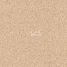 Линолеум Tarkett Primo Plus 302 фото 1 | FLOORDEALER