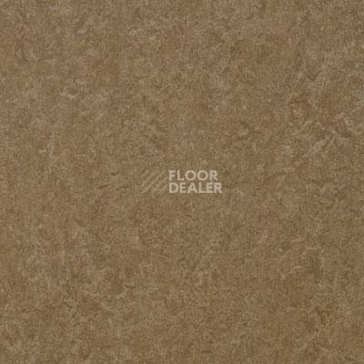 Линолеум Lg Naturelife NLE 7318 фото 1 | FLOORDEALER