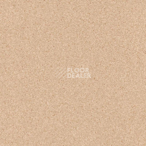 Линолеум Tarkett Primo Plus 302 фото 1 | FLOORDEALER