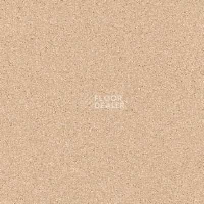 Линолеум Tarkett Primo Plus 302 фото 1 | FLOORDEALER