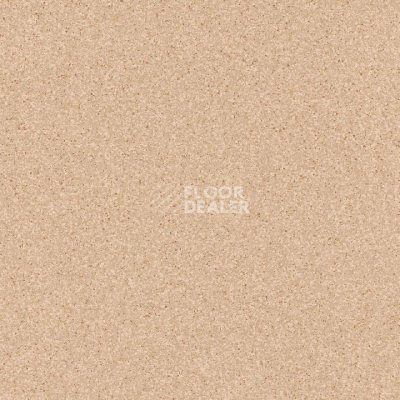 Линолеум Tarkett Primo Plus 302 фото 1 | FLOORDEALER