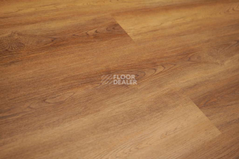 Evofloor Optima Click 4.2мм Дуб Янтарный фото 5 | FLOORDEALER