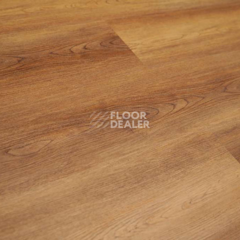 Evofloor Optima Click 4.2мм Дуб Янтарный фото 5 | FLOORDEALER