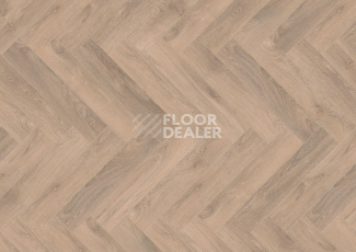 Ламинат Terhurne Herringbone Edition New Дуб Шале фото 1 | FLOORDEALER