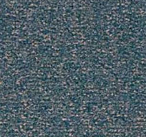 Ковролин Besmer Riga 684 фото 1 | FLOORDEALER