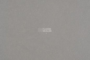 Линолеум Forbo Marmoleum Solid Walton 3367-336735 alloy фото 1 | FLOORDEALER