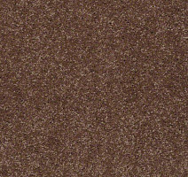 Ковролин Shaw Design Texture Platinum 794 фото 1 | FLOORDEALER