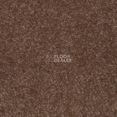 Ковролин Shaw Design Texture Platinum 794 фото 1 | FLOORDEALER