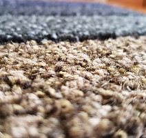 Ковровая плитка Desso Protect Desso Protect фото 1 | FLOORDEALER