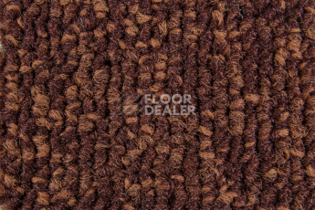Balsan Season - Summer / Winter 585 фото 2 | FLOORDEALER
