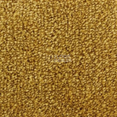 Ковролин Edel Affection 156 фото 1 | FLOORDEALER