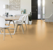 Colorette 0071 Straw Beige фото 2 | FLOORDEALER